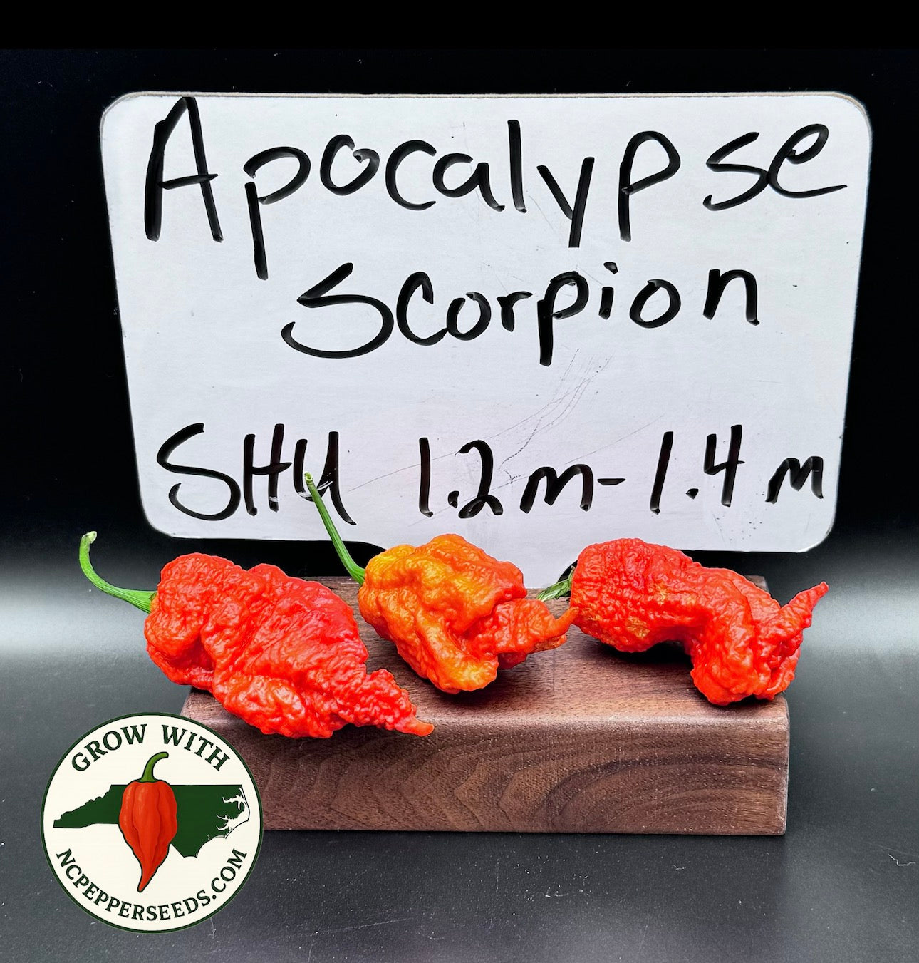Apocalypse scorpion