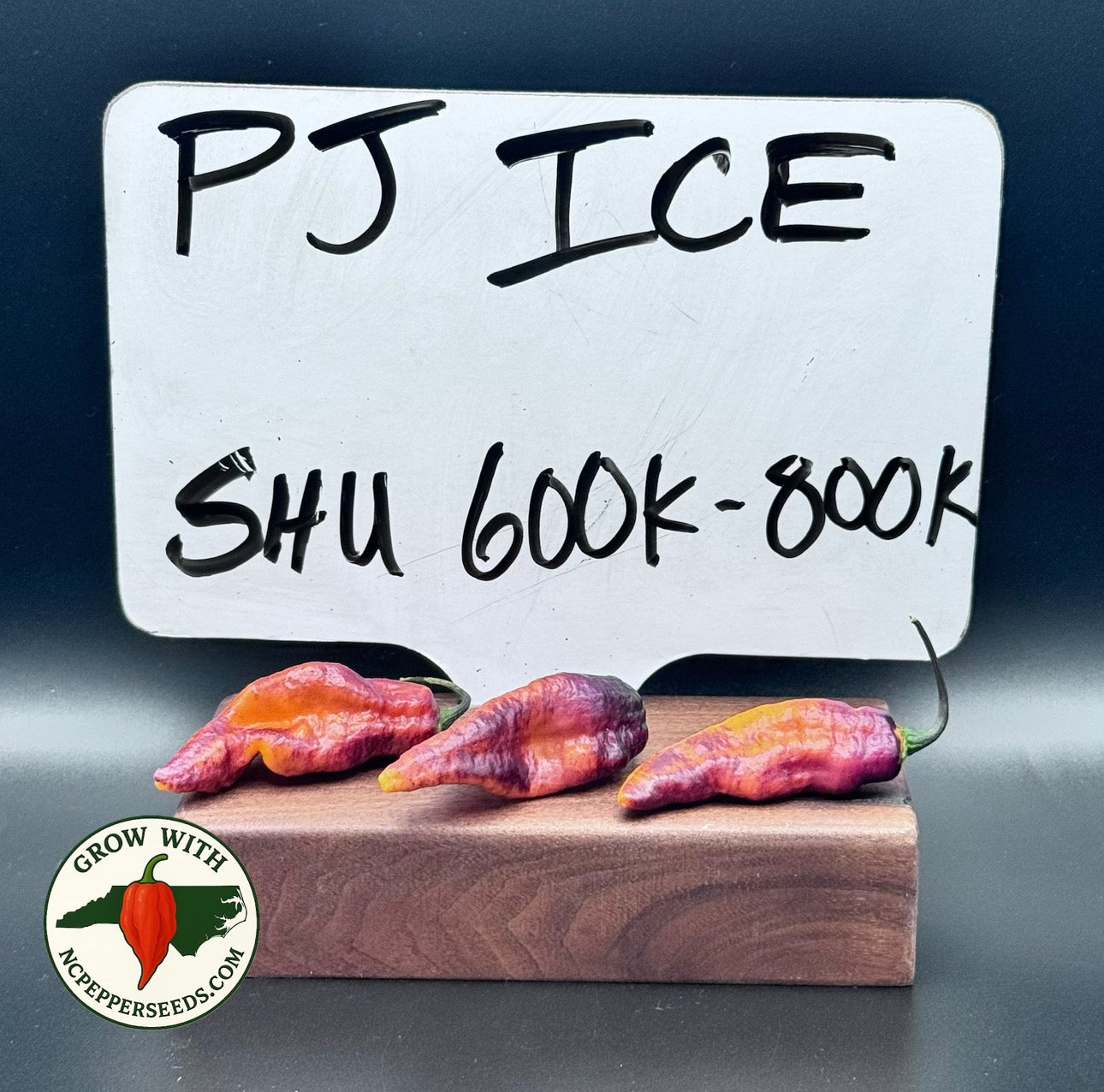 PJ Ice