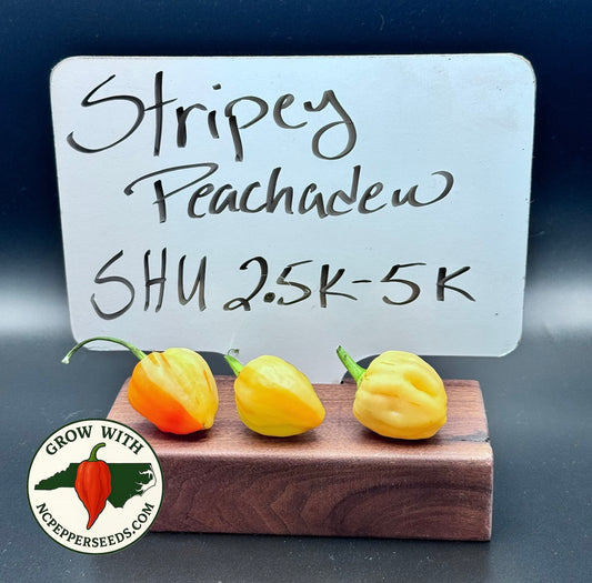 Peachadew stripy