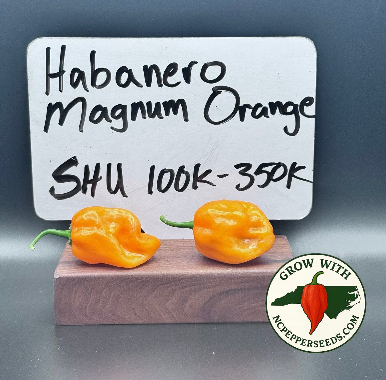 Habanero Magnum Orange