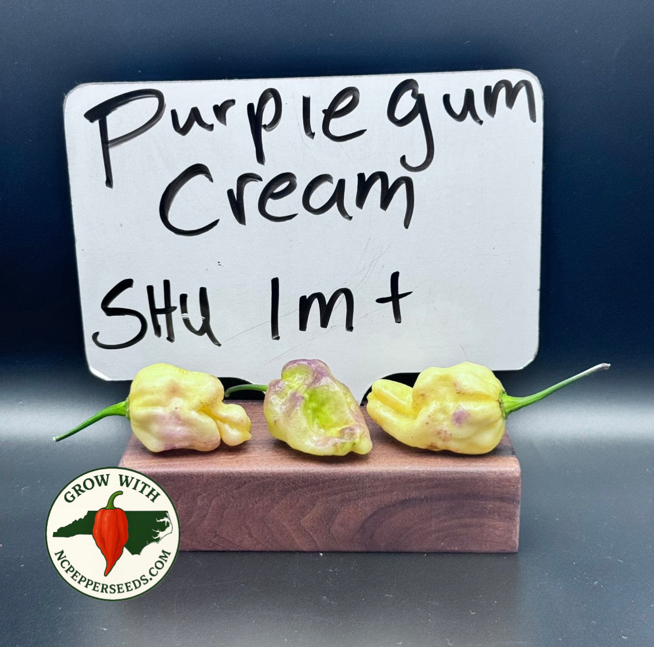 PurpleGum Cream