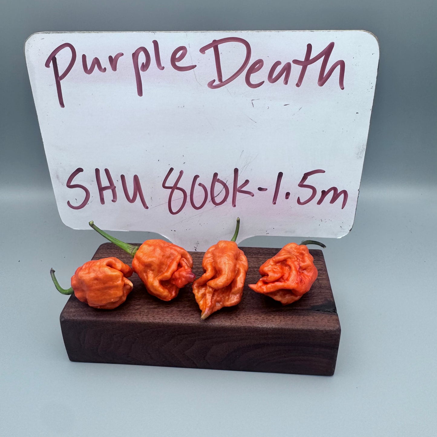 Purple Death