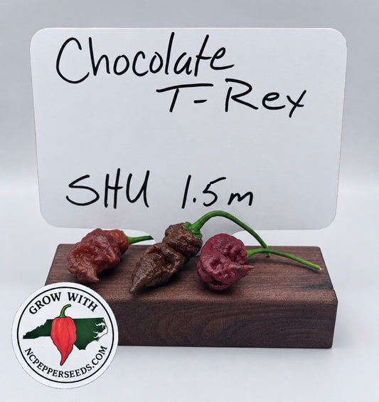 Chocolate T-Rex