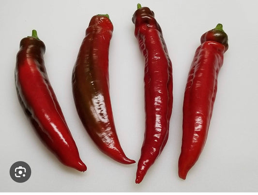 Jalapeño Chernobyl