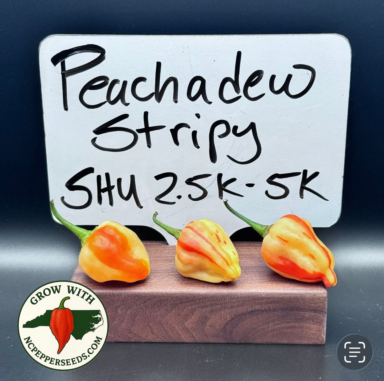 Peachadew stripy