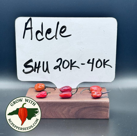 Adele