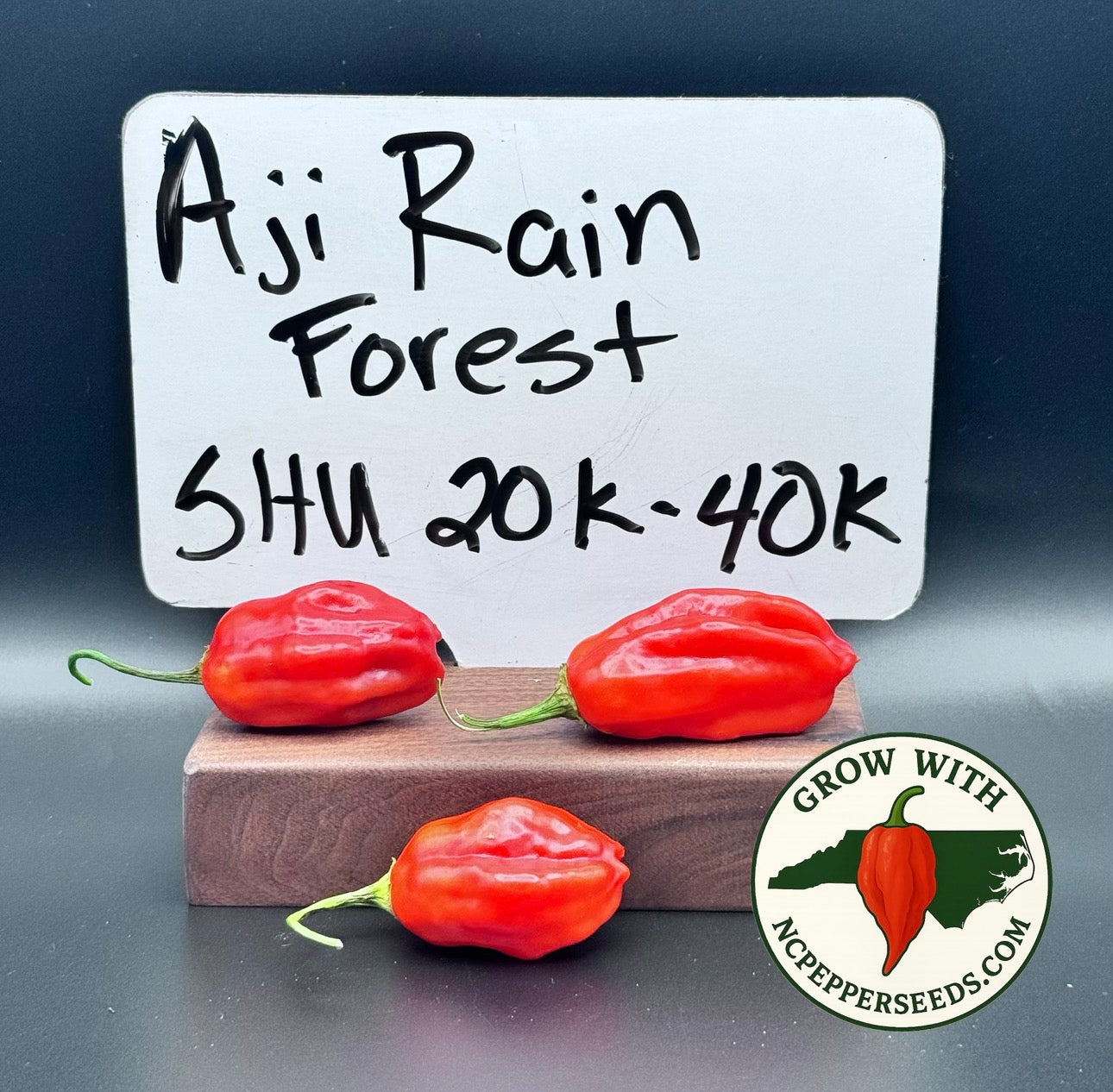 Aji Rain Forest