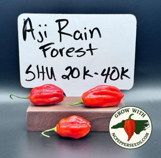 Aji Rain Forest