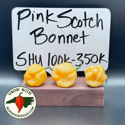 Pink Scotch Bonnet  #154