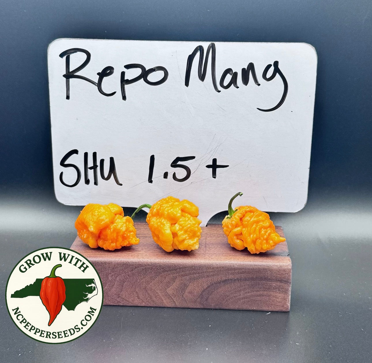Repo Mang