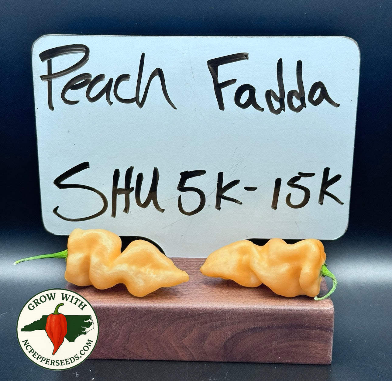 Peach Fadda
