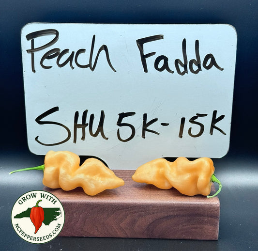 Peach Fadda #138