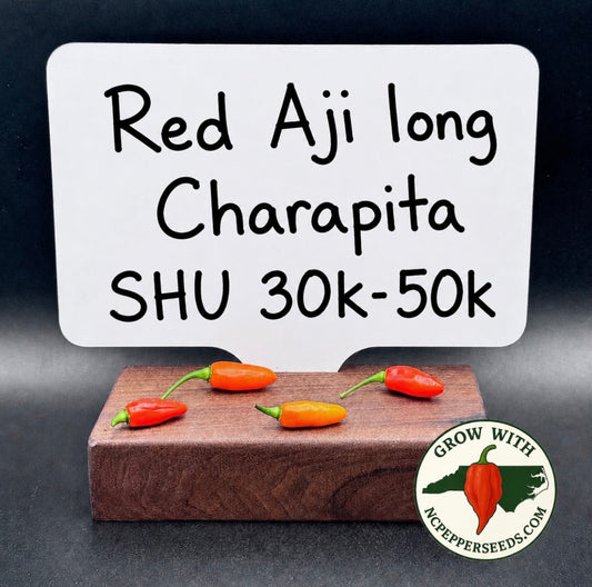Aji long Red Charapita