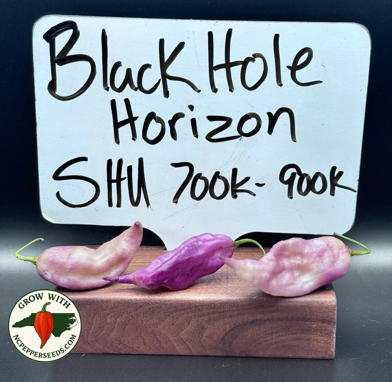 Black Hole Horizon