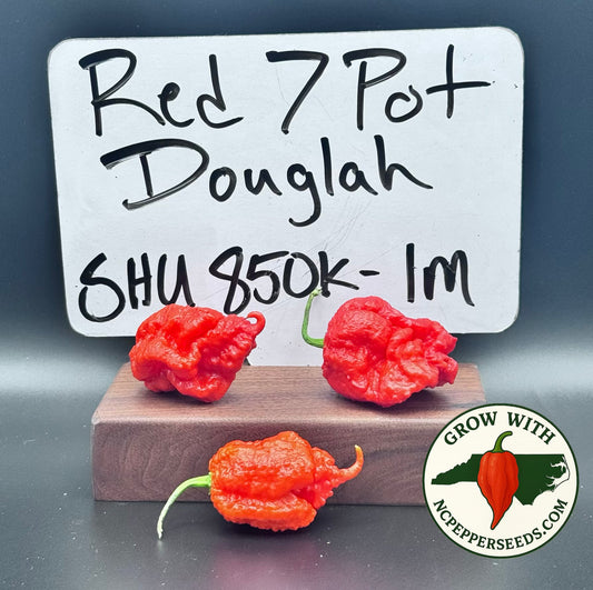 Red 7 Pot Douglah