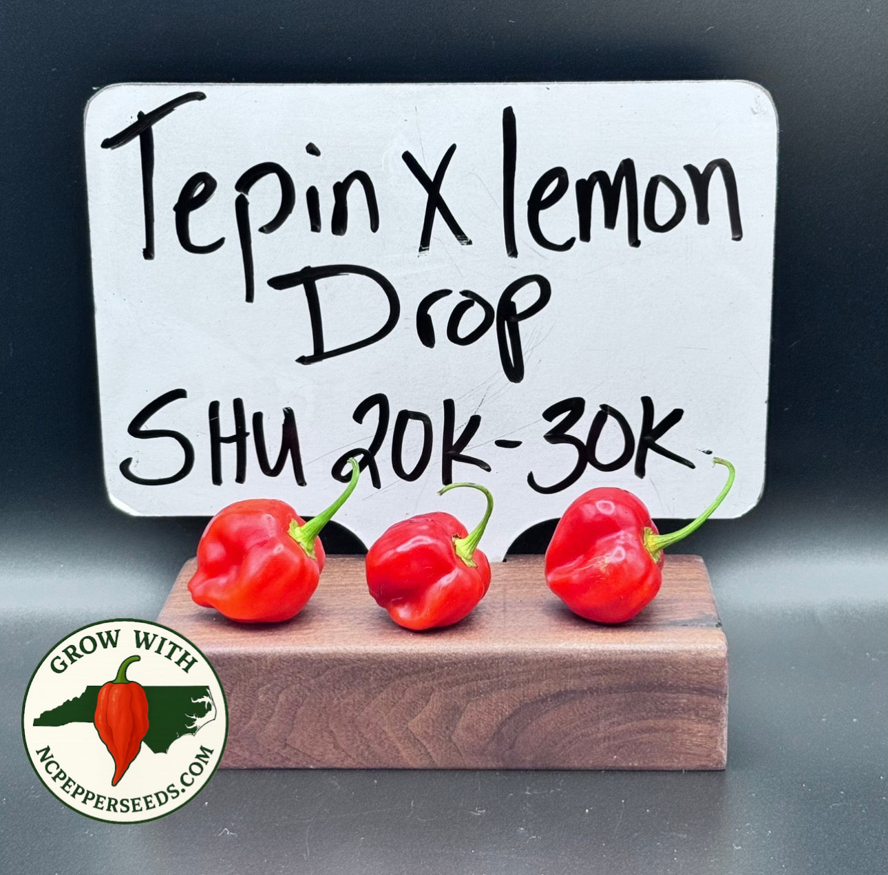 Tepin x Lemon Drop