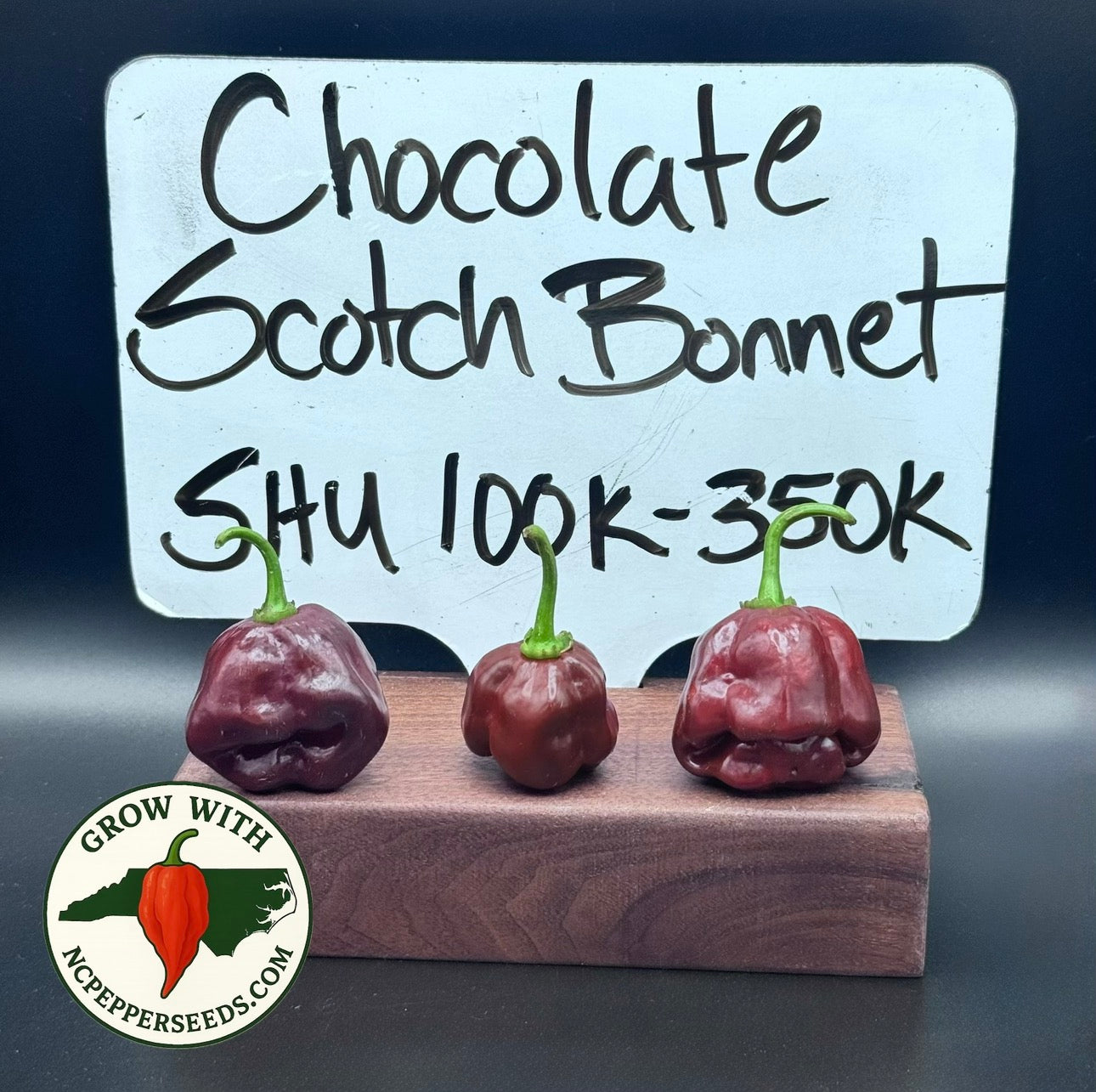 Chocolate Scotch Bonnet