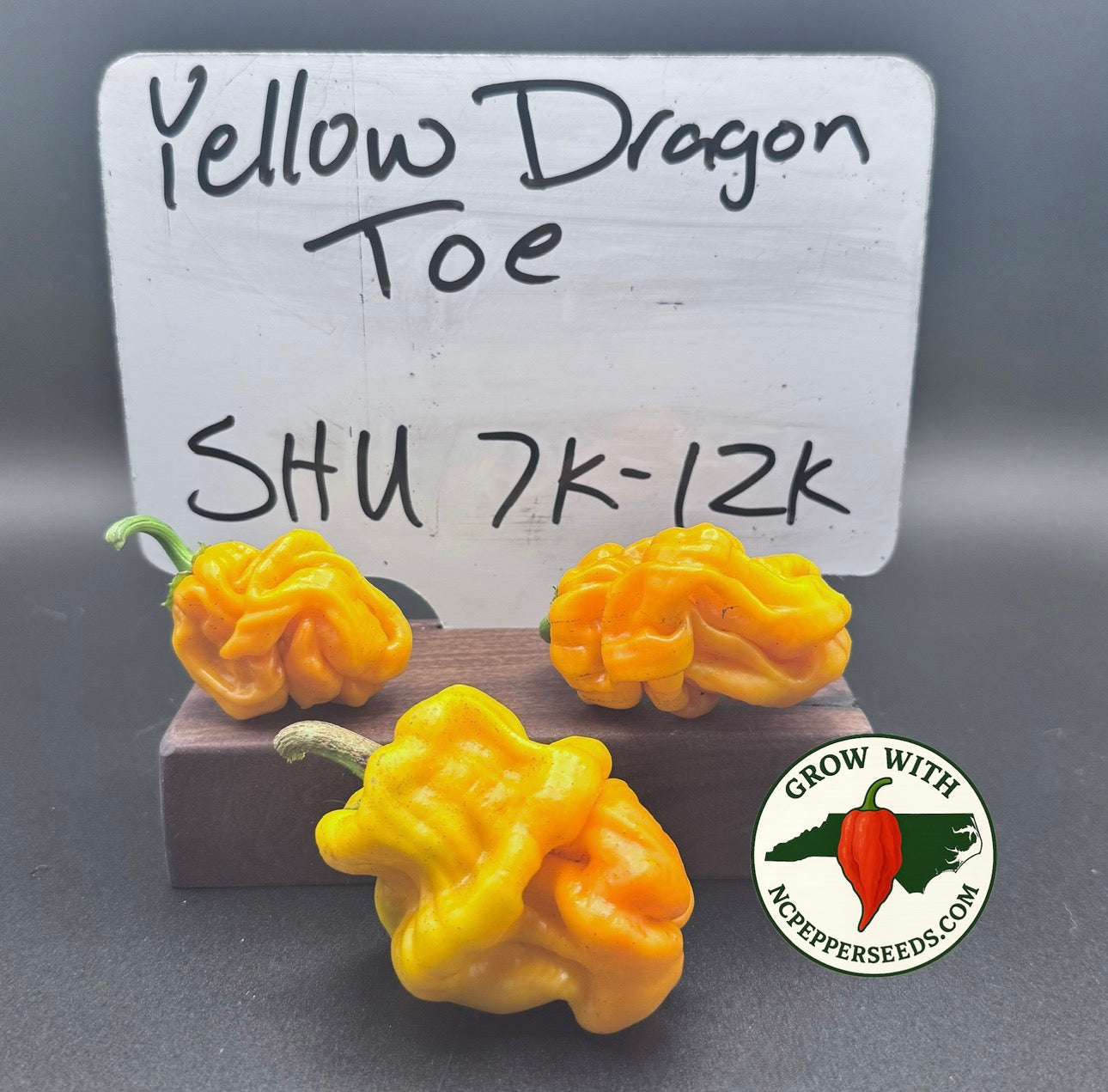 Yellow Dragon Toe