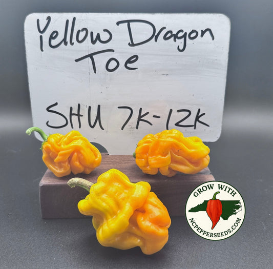 Yellow Dragon Toe