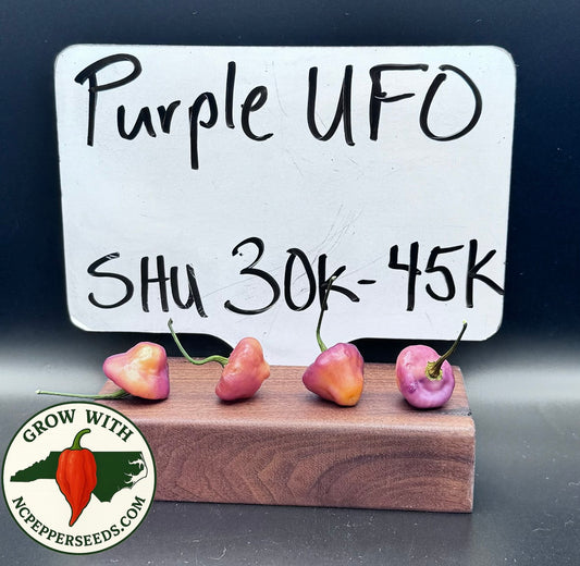 Purple UFO  #165