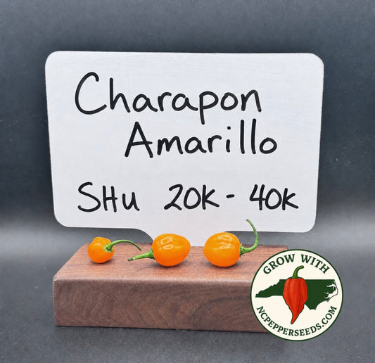 Charapon Amarillo