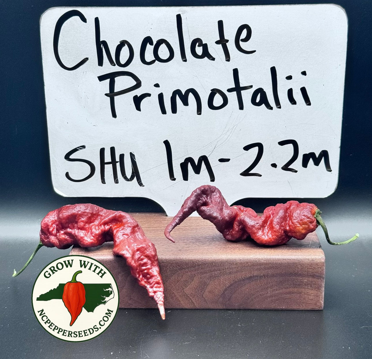 Chocolate Primotalii
