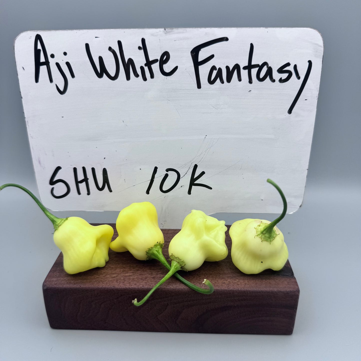 Aji White Fantasy ￼