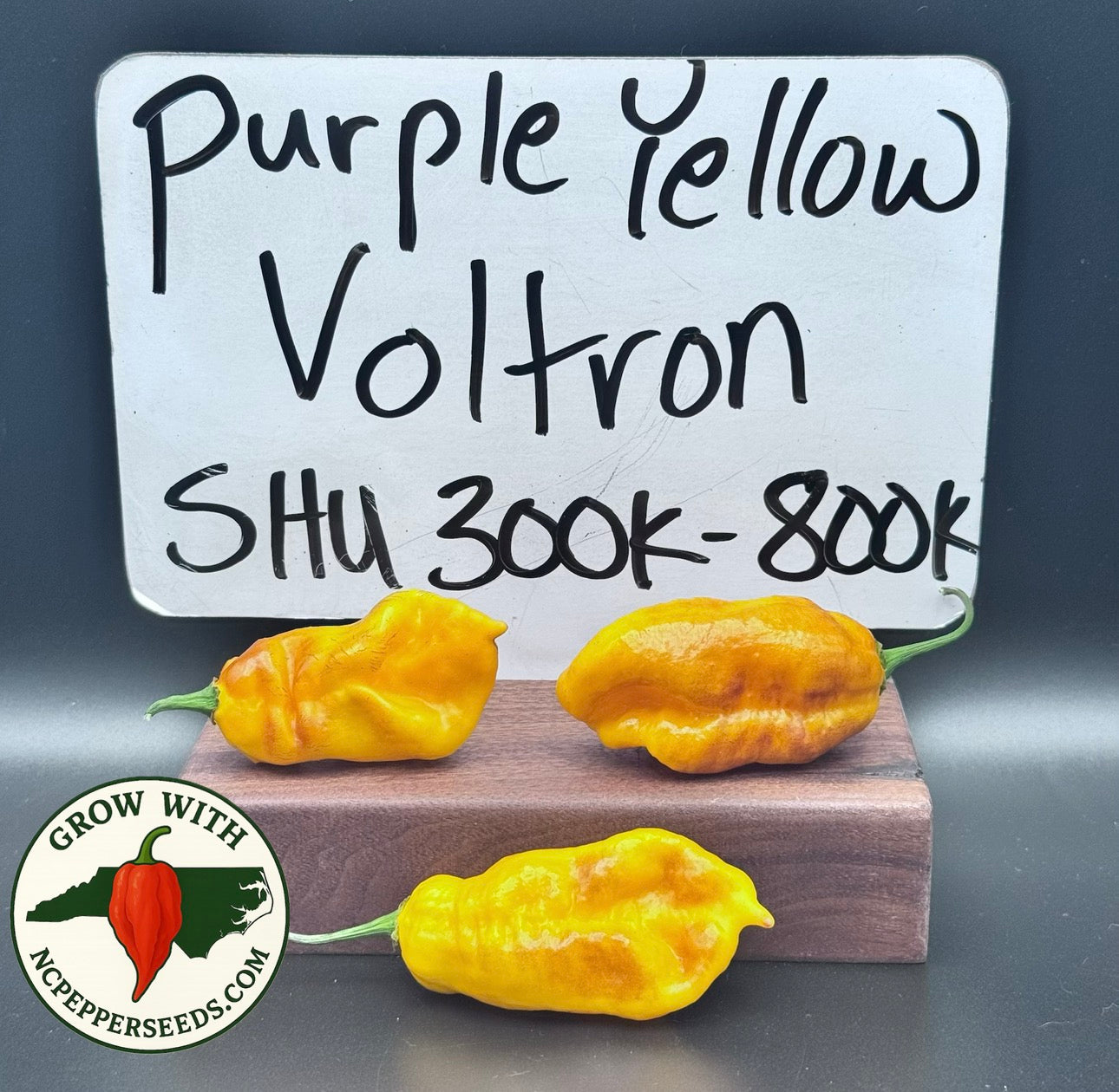 Purple Yellow Voltron