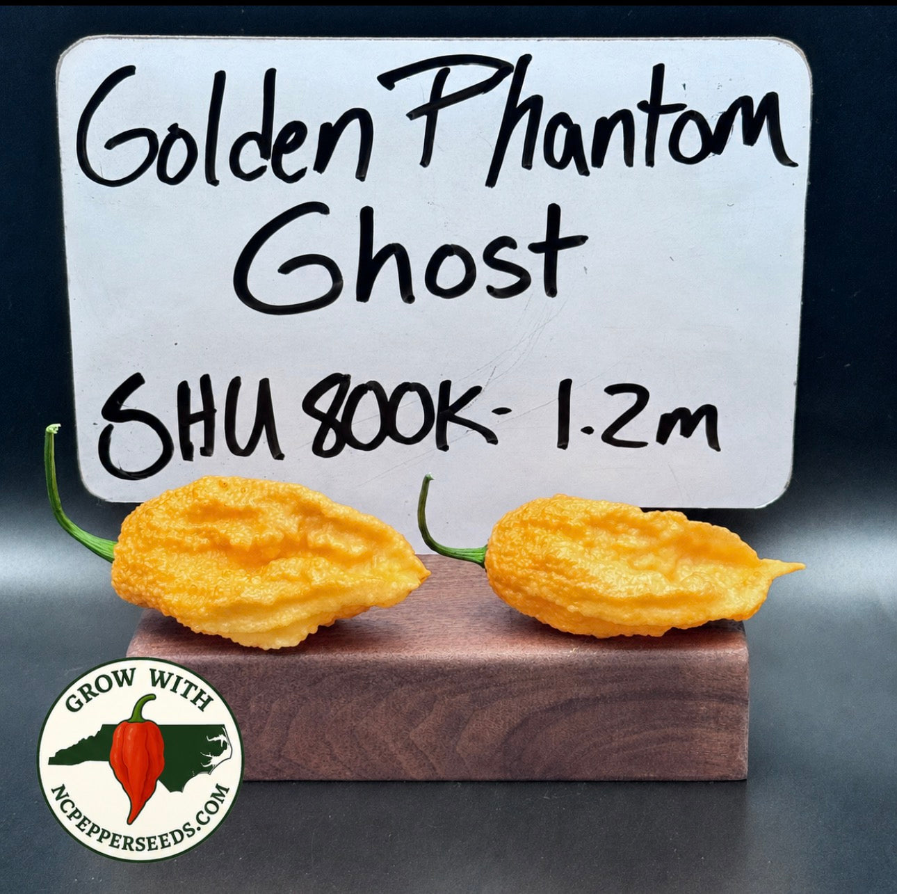 Golden Phantom Ghost