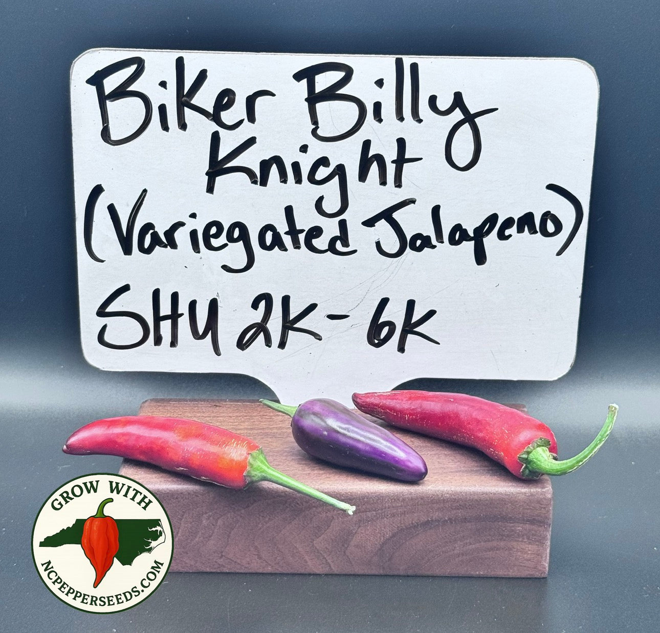 Biker Billy Knight