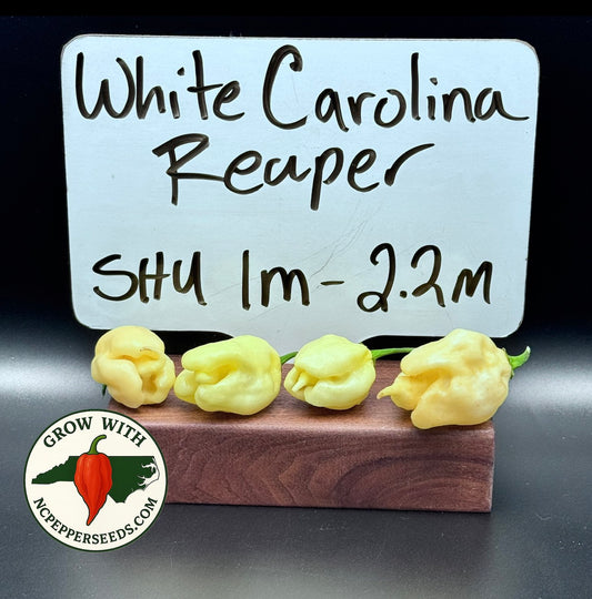 White Carolina Reaper