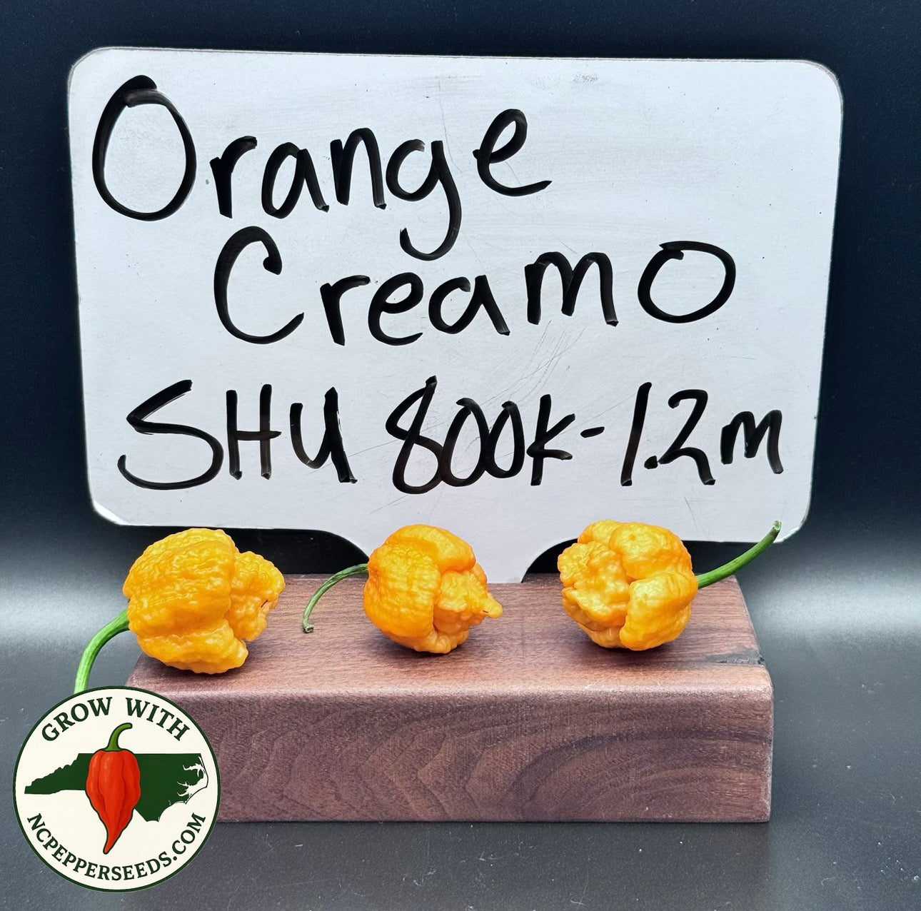 Orange Cremo