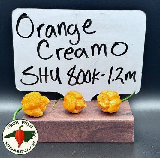 Orange Creamo #131