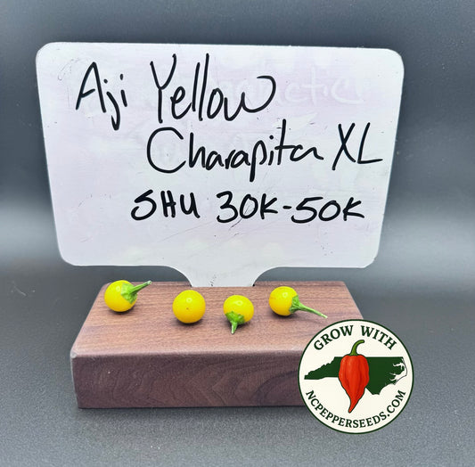 Aji Yellow Charapita XL