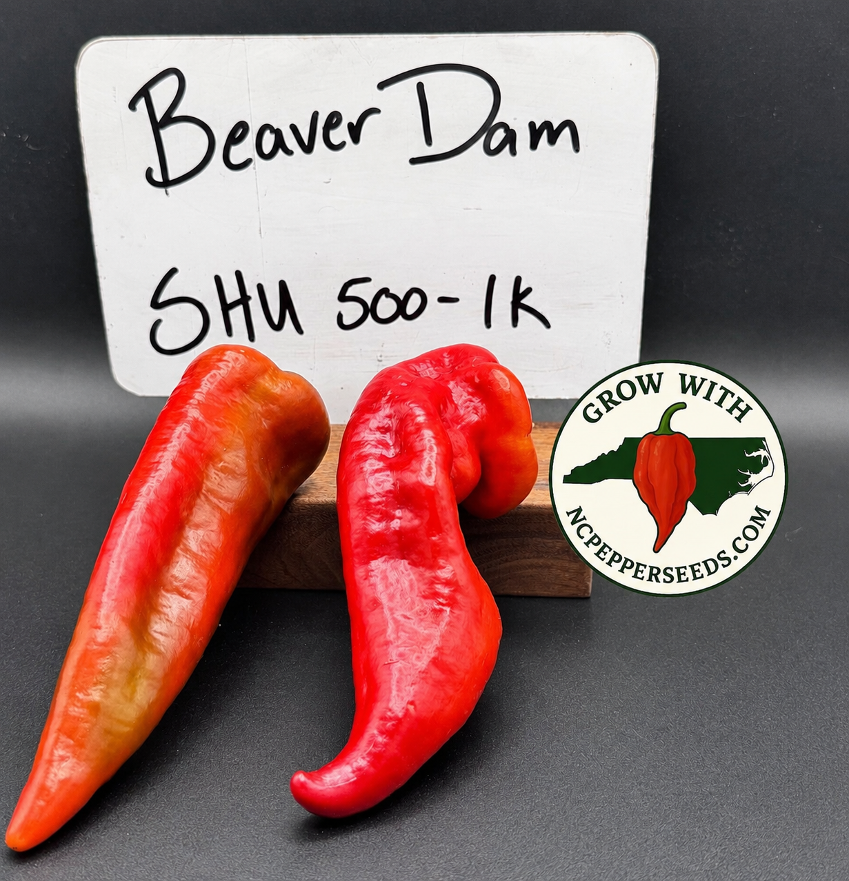 Beaver Dam