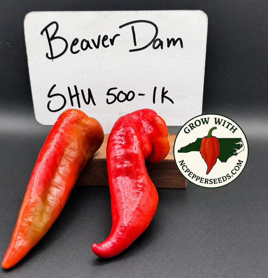 Beaver Dam