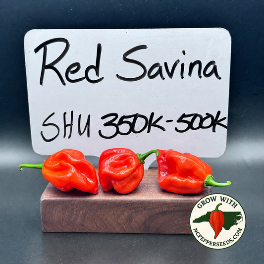 Red Savina