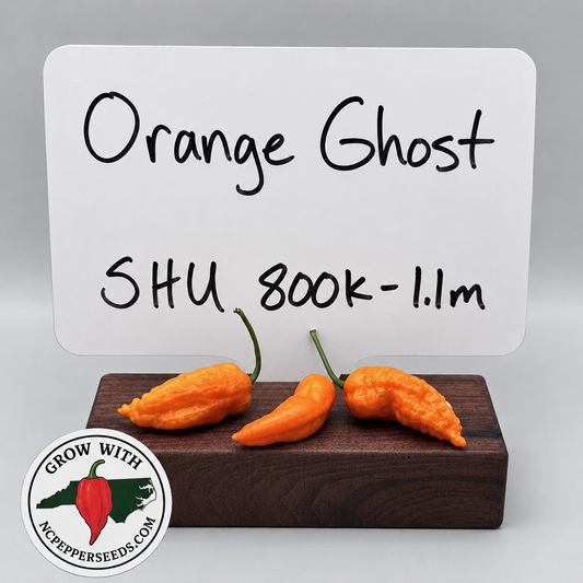 Orange Ghost