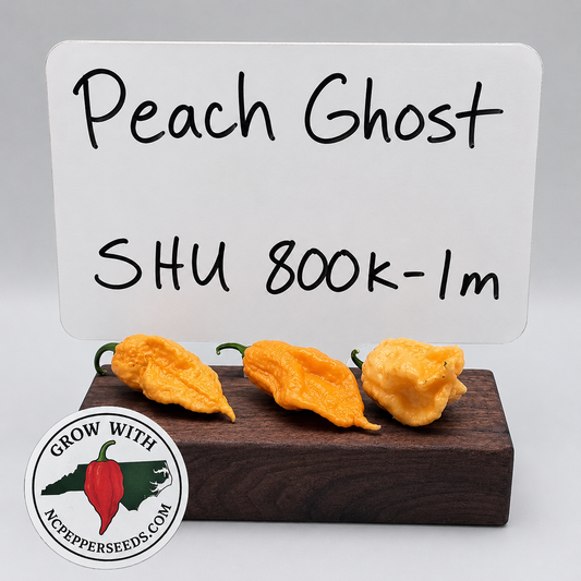 Peach Ghost