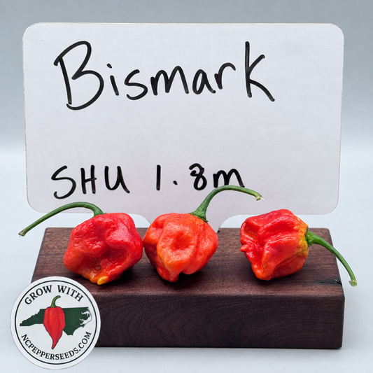 Bismarck #32