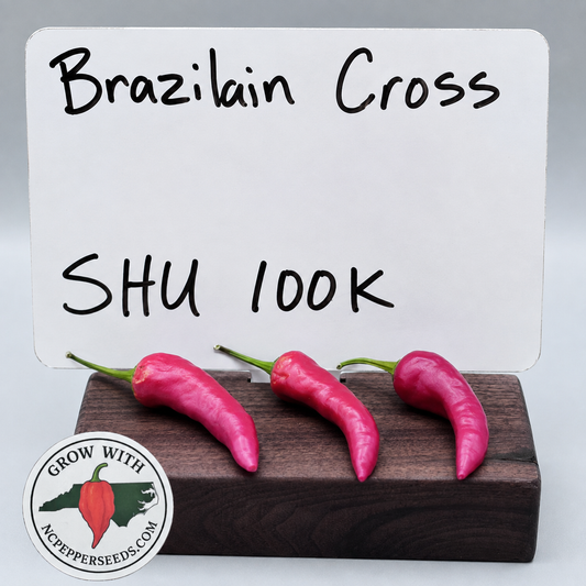 Brazilian Cross #40