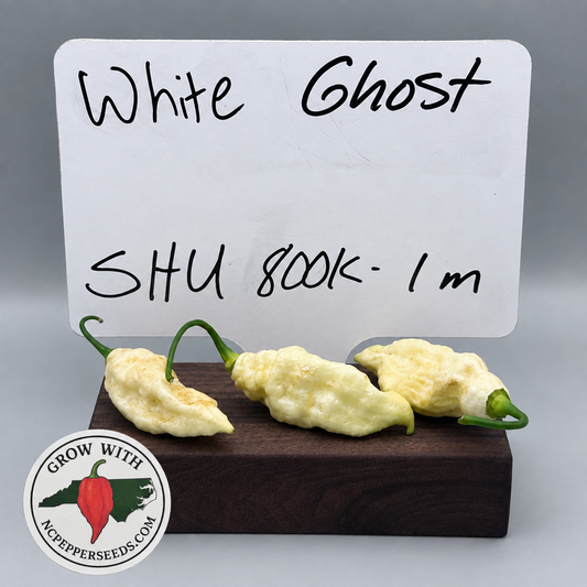 White Ghost  #205