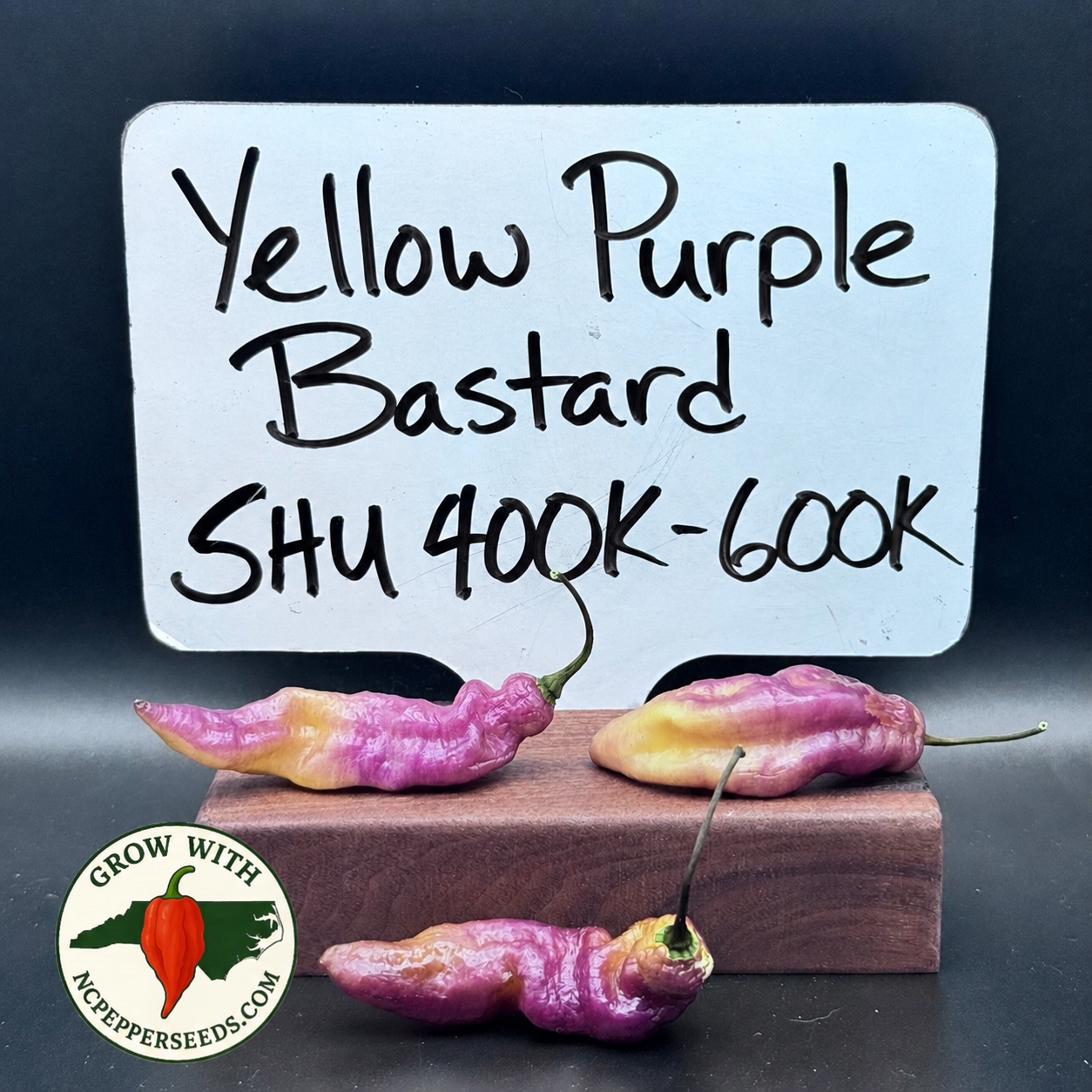 Yellow Purple Bastard