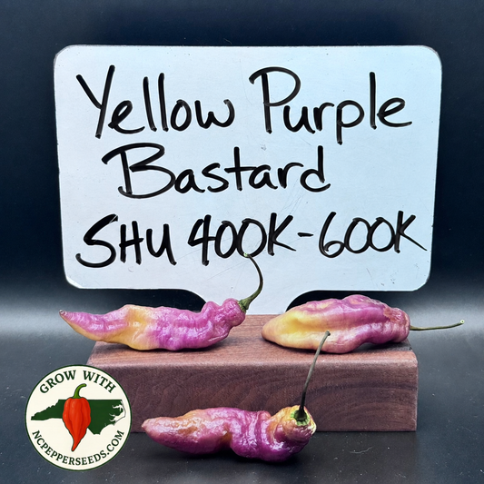 Yellow Purple Bastard  #218