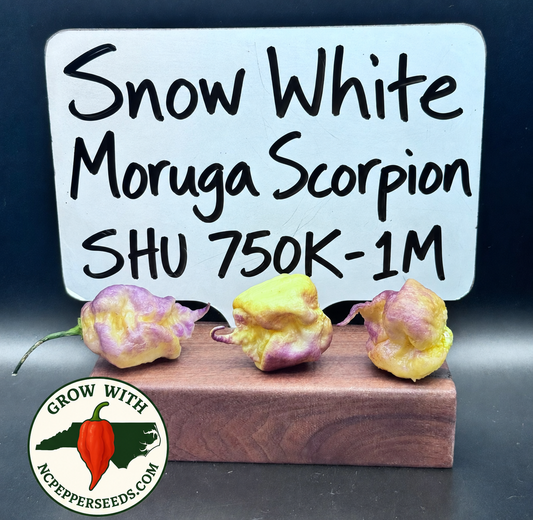 Snow White
Moruga Scorpion  #127