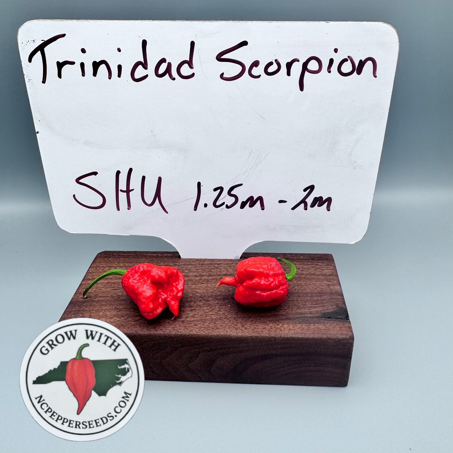 Trinidad scorpion