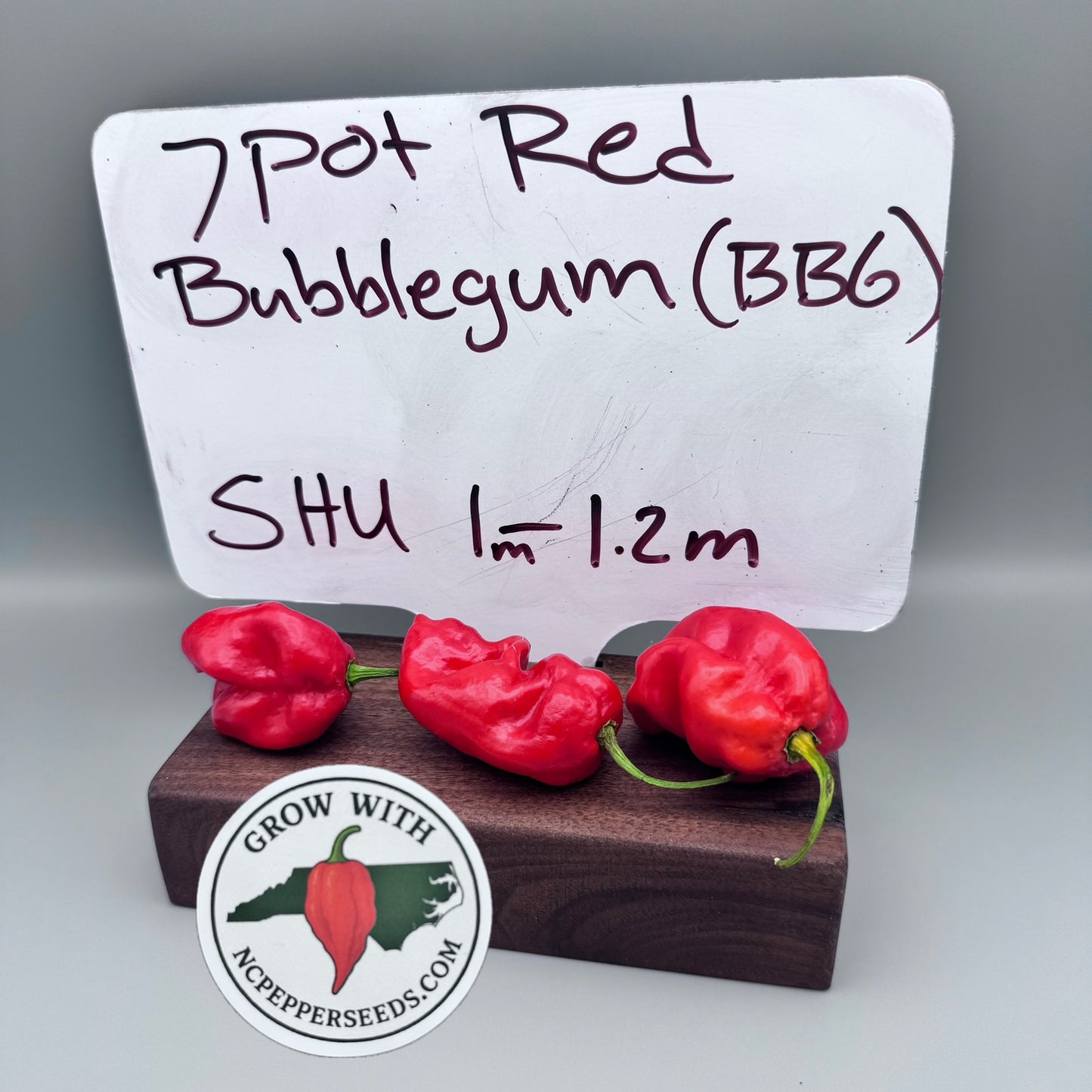 7 Pot Bubblegum (BBG7)