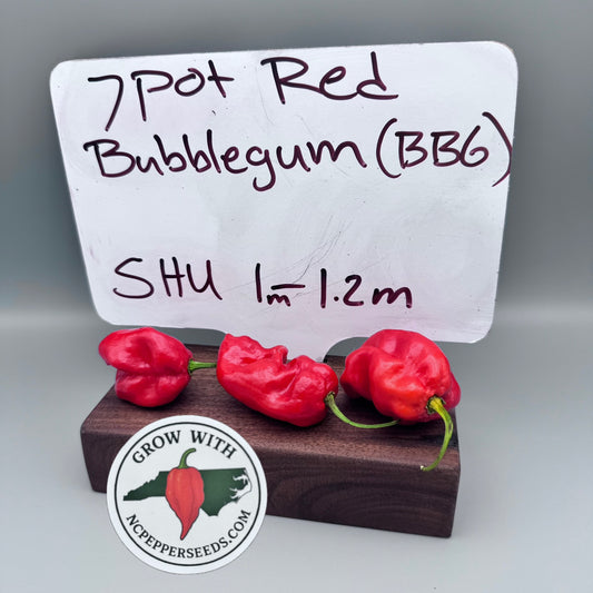 7 Pot Bubblegum (BBG7)