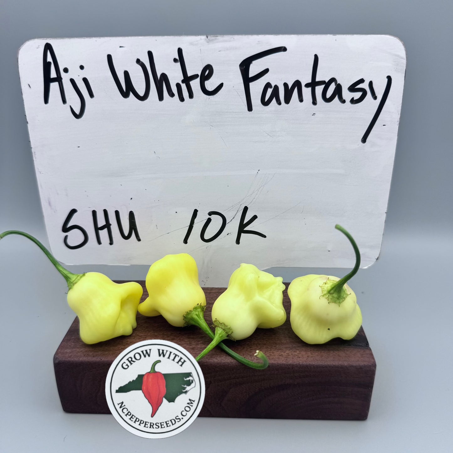 Aji White Fantasy ￼