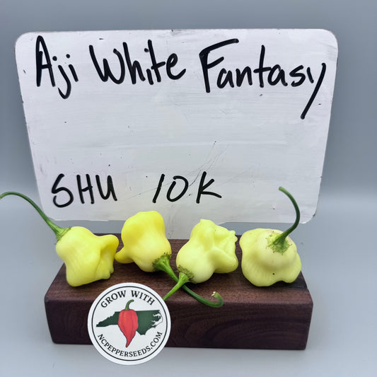 Aji White Fantasy ￼